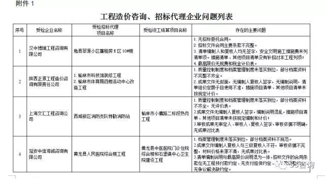 工程造價(jià)咨詢、招標(biāo)代理企業(yè)問題列表